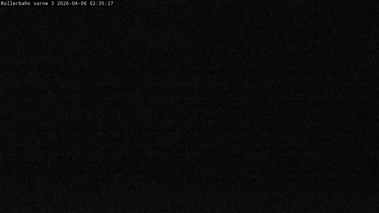 Archiv Foto Webcam Willingen - Blick Rollerbahn der Biathlon Arena