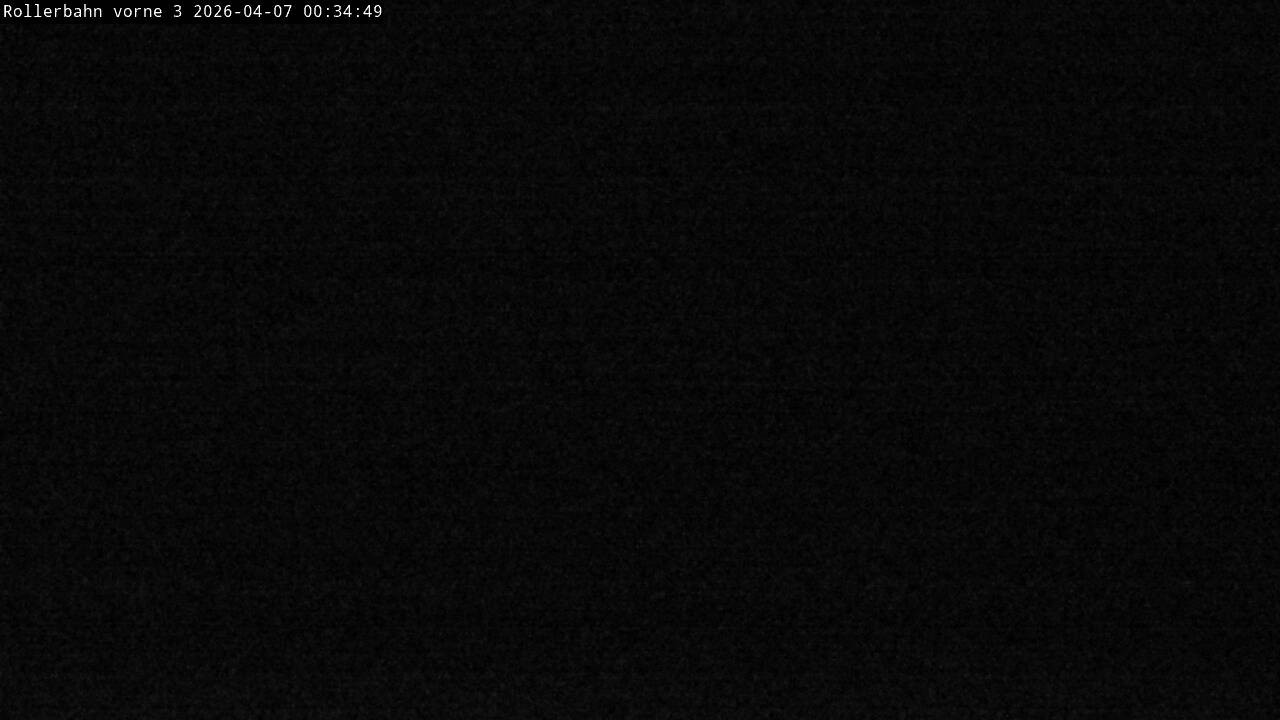 Archiv Foto Webcam Willingen - Blick Rollerbahn der Biathlon Arena