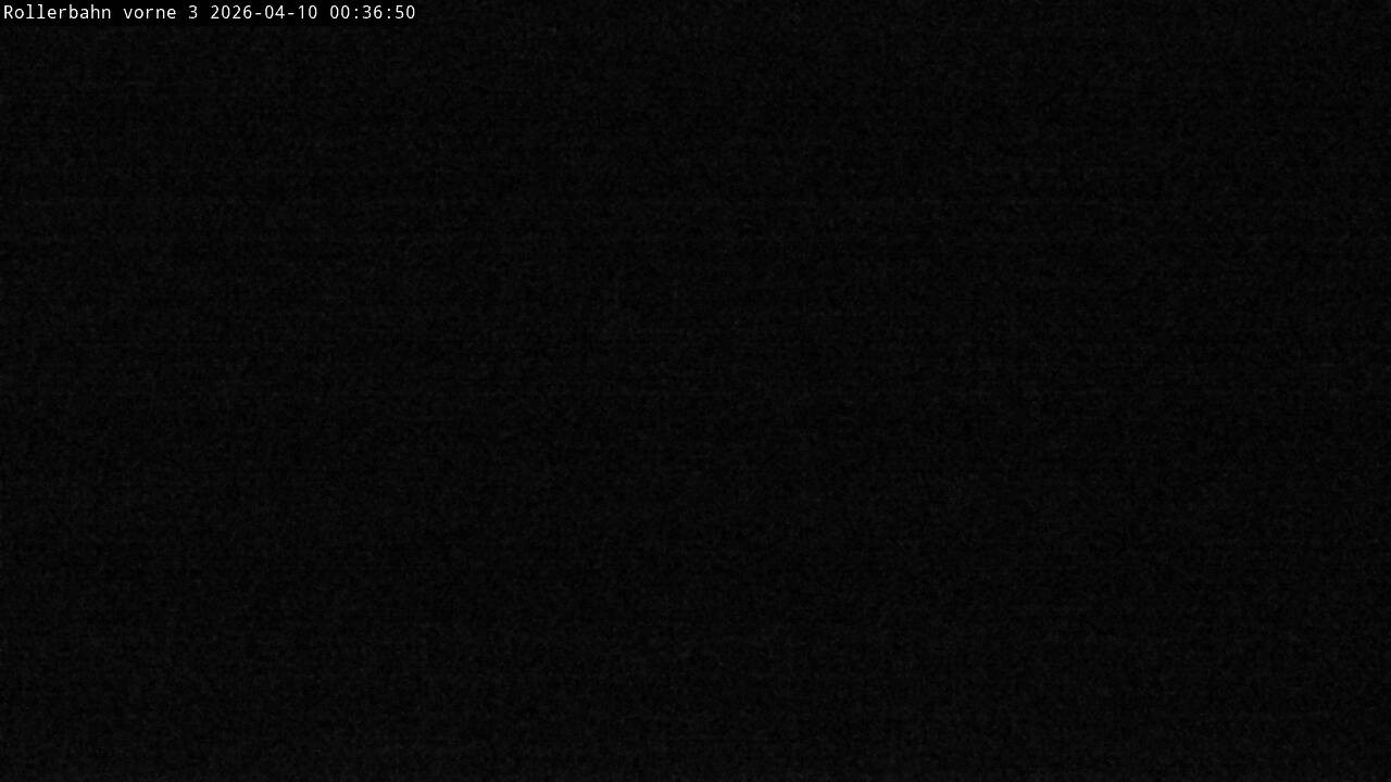 Archiv Foto Webcam Willingen - Blick Rollerbahn der Biathlon Arena