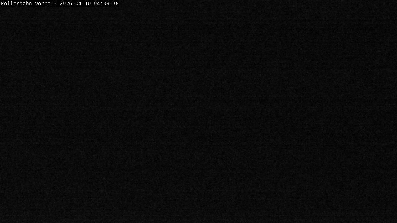 Archiv Foto Webcam Willingen - Blick Rollerbahn der Biathlon Arena