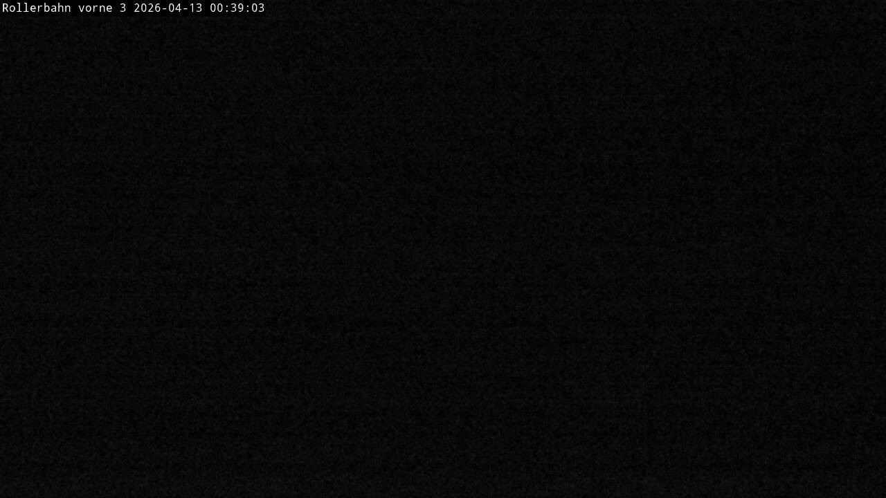 Archiv Foto Webcam Willingen - Blick Rollerbahn der Biathlon Arena