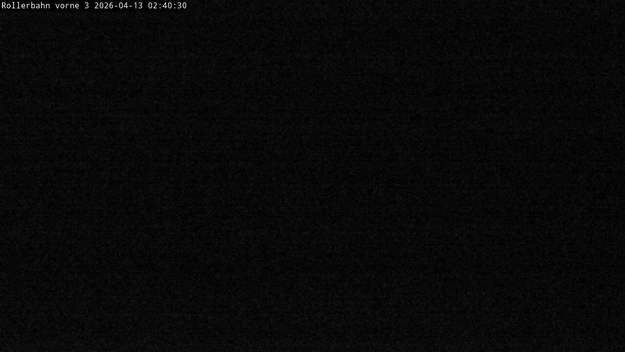 Archiv Foto Webcam Willingen - Blick Rollerbahn der Biathlon Arena