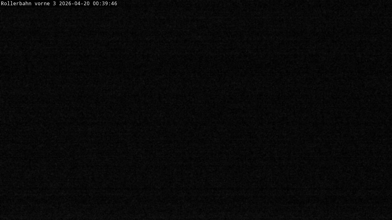 Archiv Foto Webcam Willingen - Blick Rollerbahn der Biathlon Arena