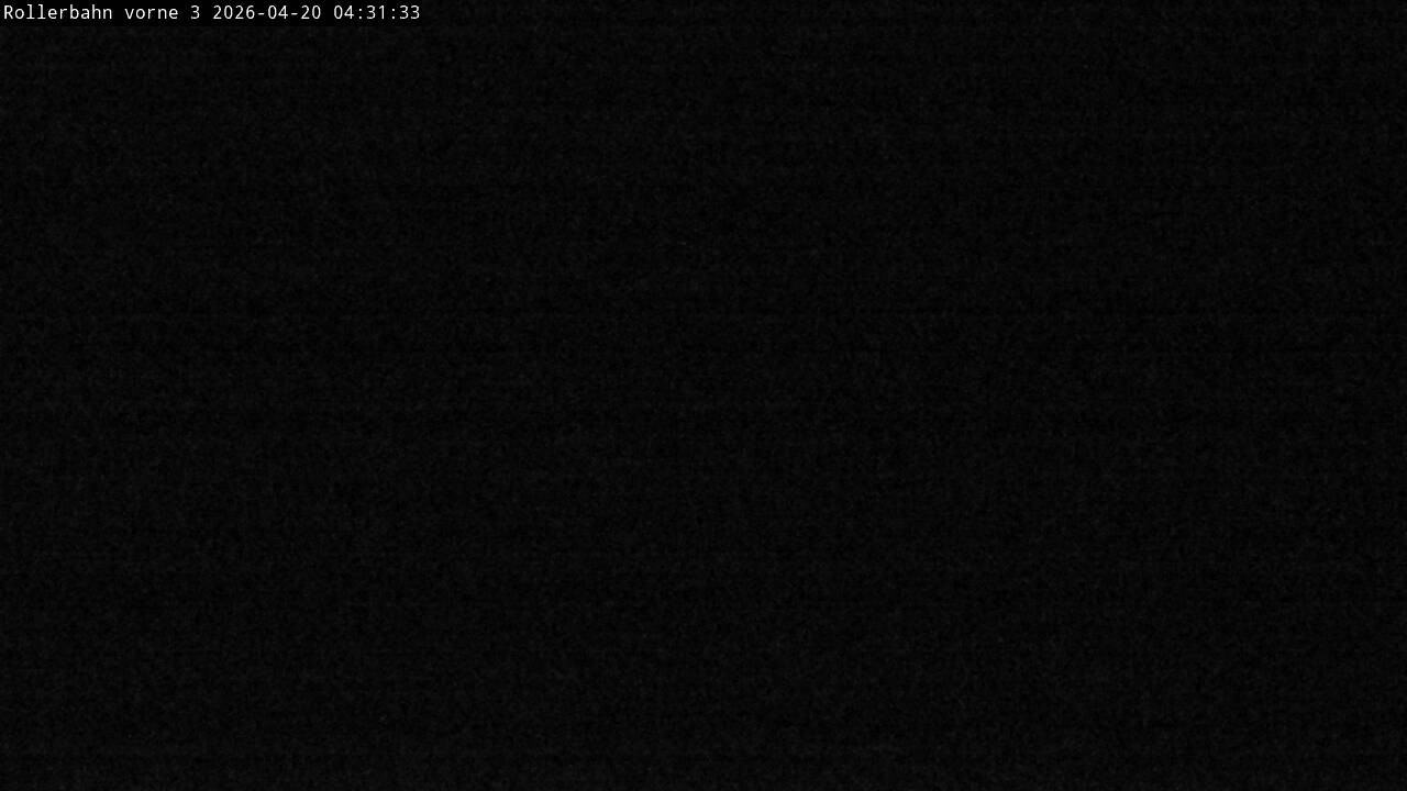 Archiv Foto Webcam Willingen - Blick Rollerbahn der Biathlon Arena