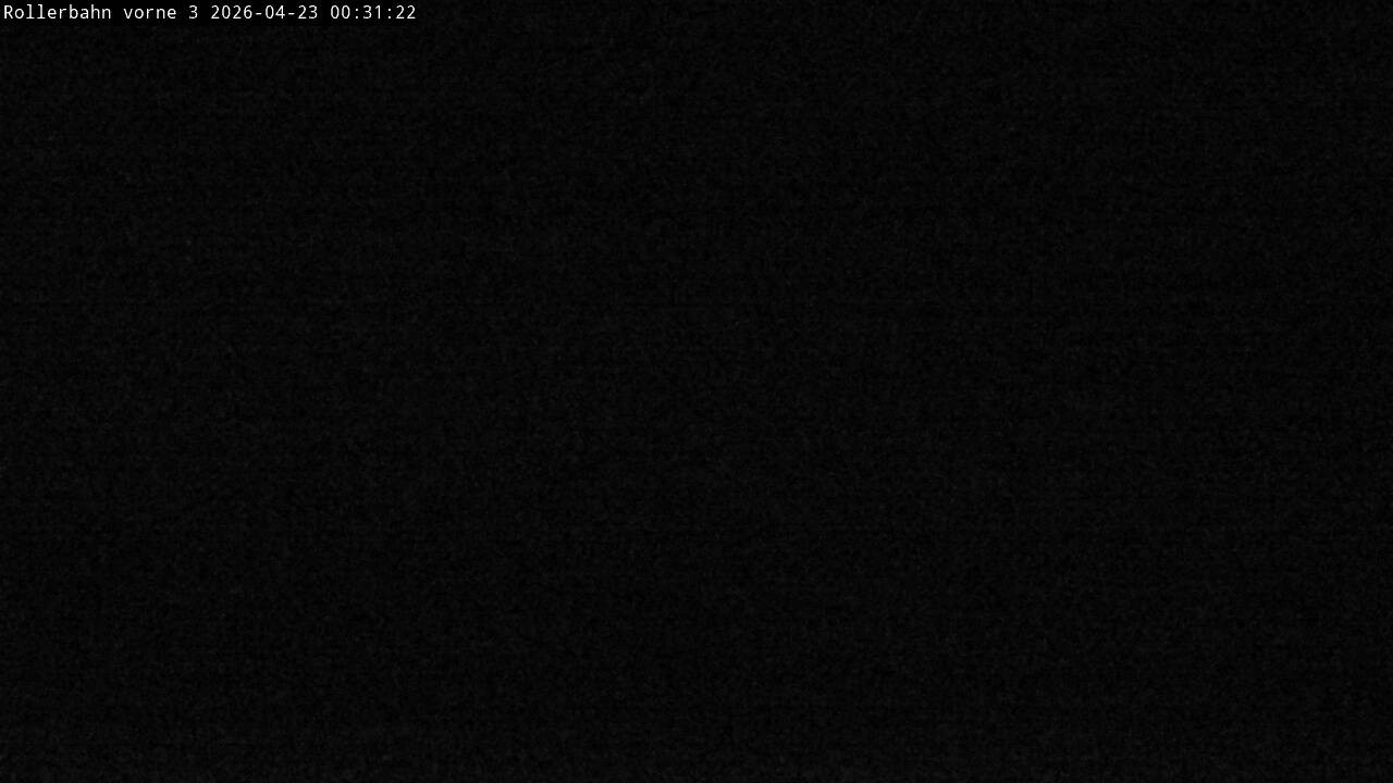 Archiv Foto Webcam Willingen - Blick Rollerbahn der Biathlon Arena