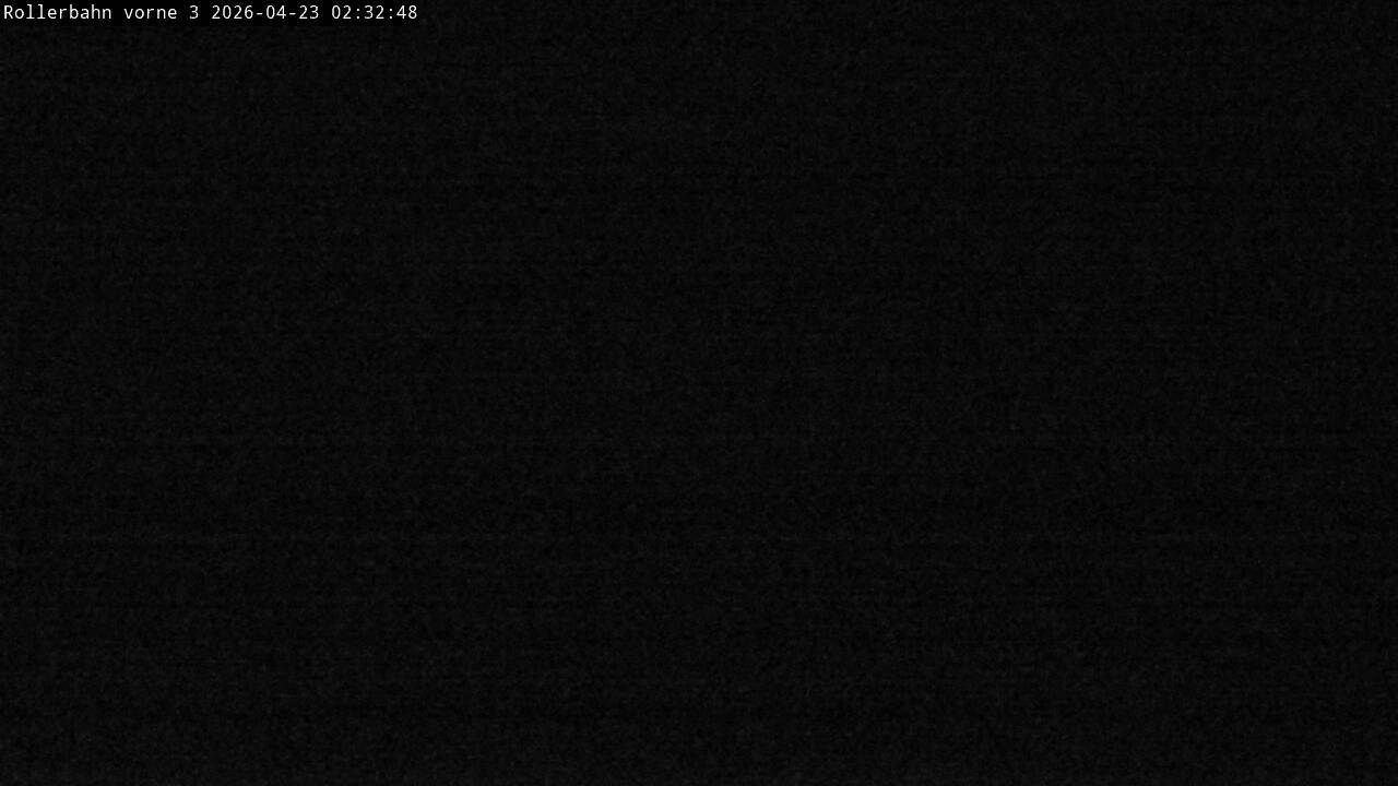 Archiv Foto Webcam Willingen - Blick Rollerbahn der Biathlon Arena