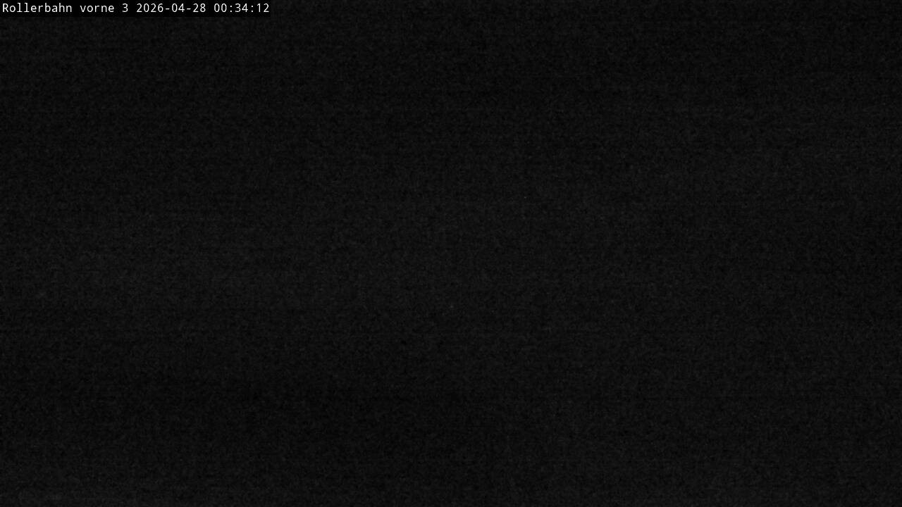 Archiv Foto Webcam Willingen - Blick Rollerbahn der Biathlon Arena