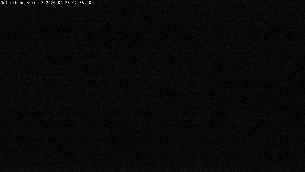 Archiv Foto Webcam Willingen - Blick Rollerbahn der Biathlon Arena