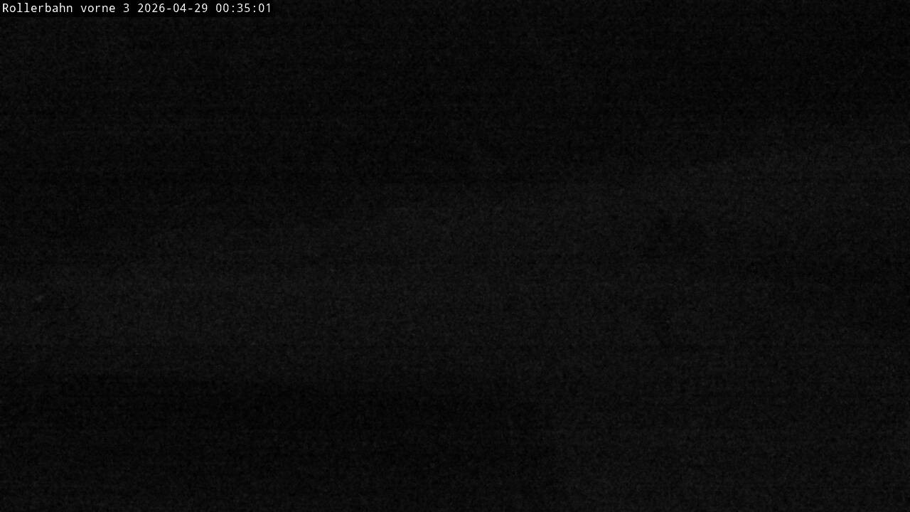 Archiv Foto Webcam Willingen - Blick Rollerbahn der Biathlon Arena