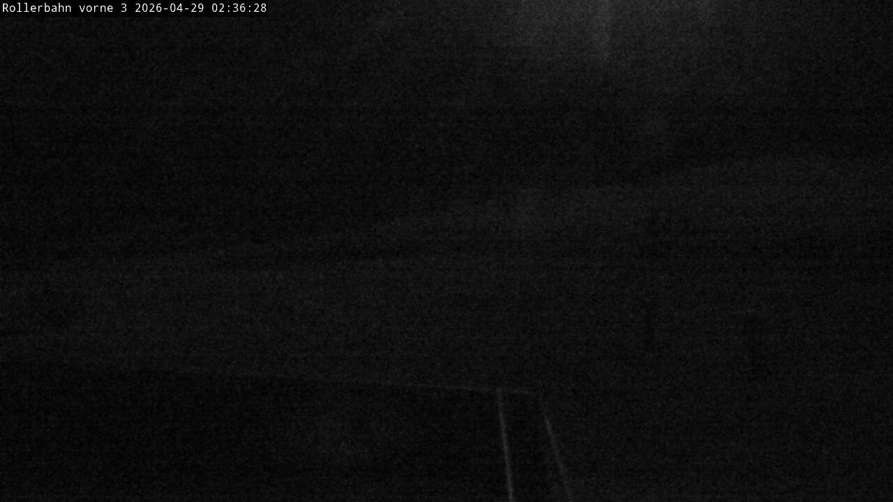 Archiv Foto Webcam Willingen - Blick Rollerbahn der Biathlon Arena