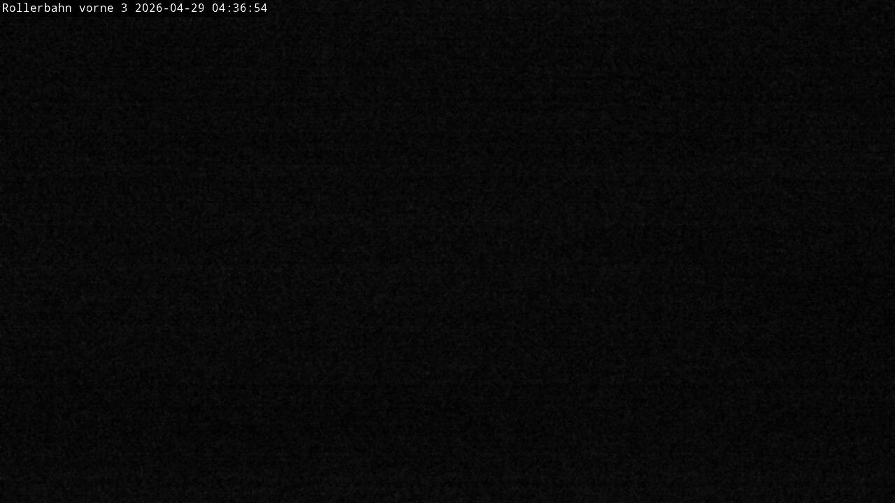 Archiv Foto Webcam Willingen - Blick Rollerbahn der Biathlon Arena