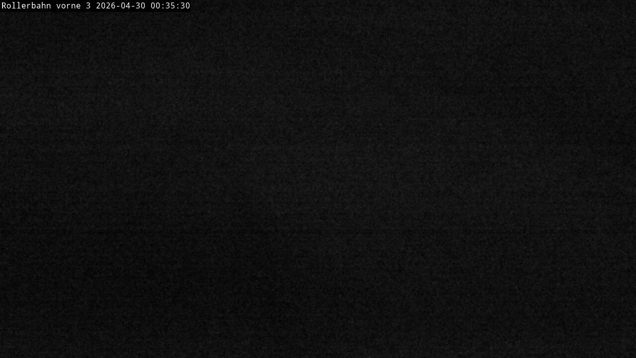 Archiv Foto Webcam Willingen - Blick Rollerbahn der Biathlon Arena