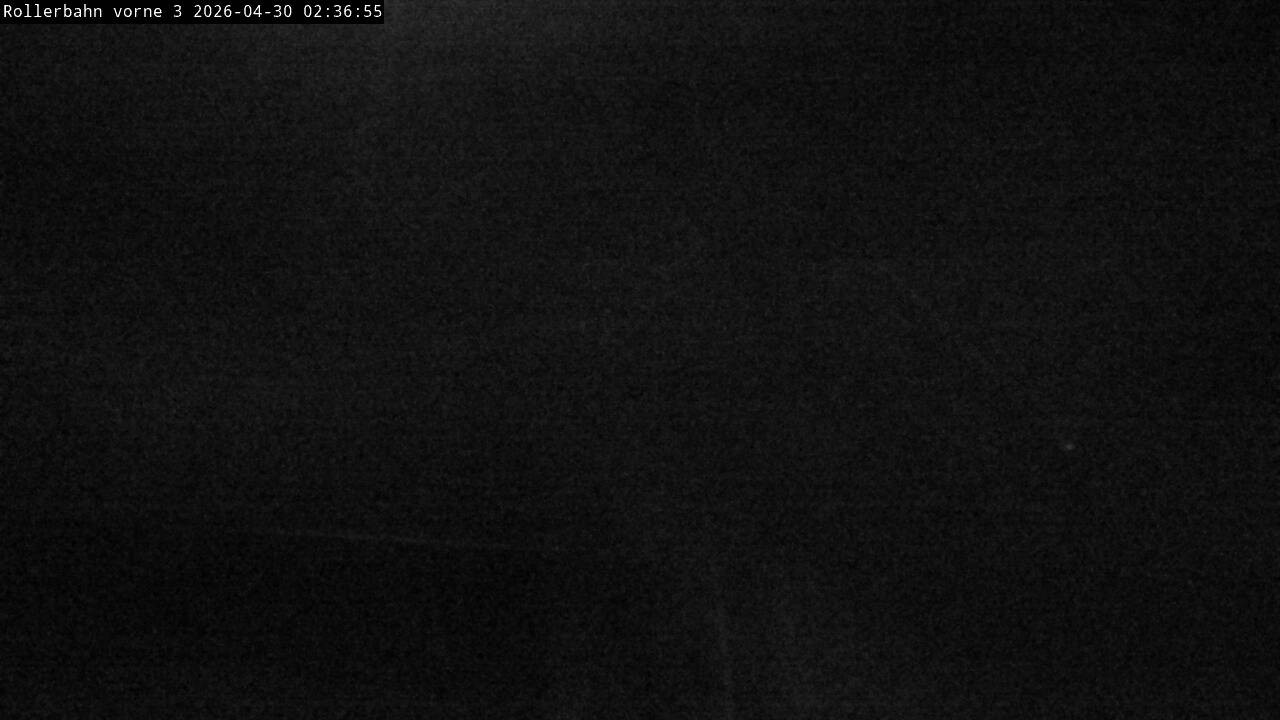 Archiv Foto Webcam Willingen - Blick Rollerbahn der Biathlon Arena