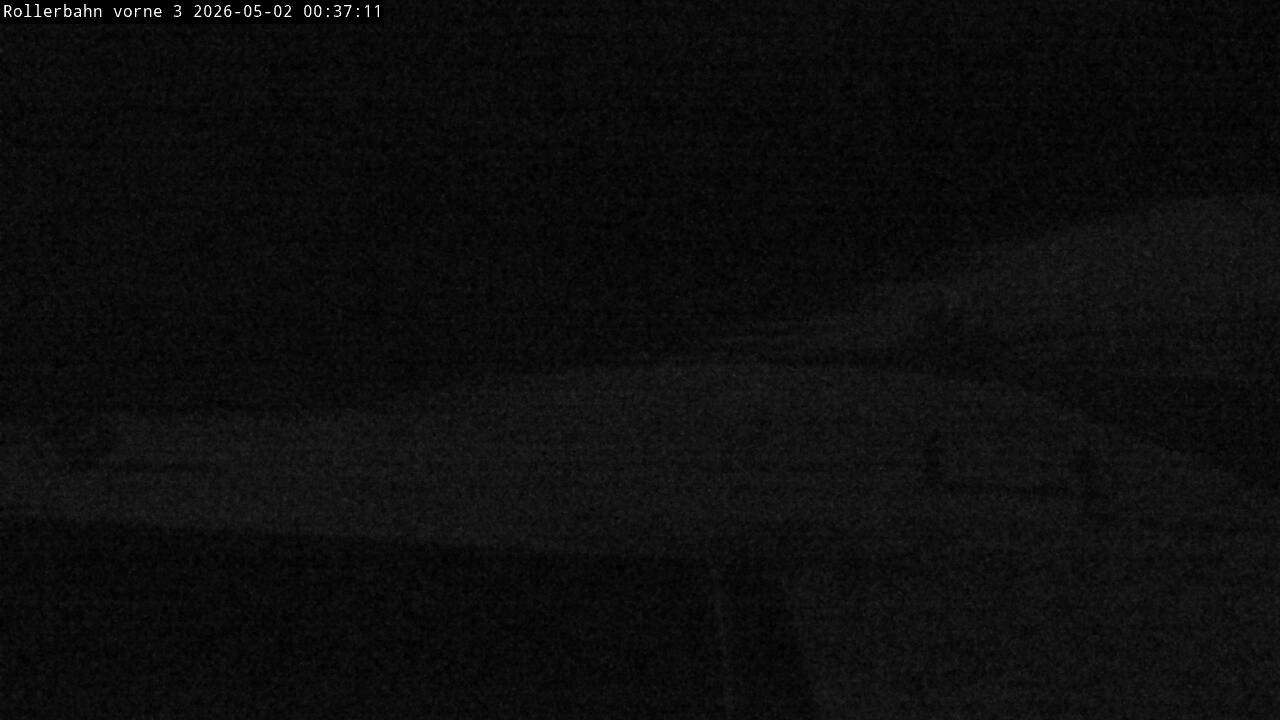 Archiv Foto Webcam Willingen - Blick Rollerbahn der Biathlon Arena