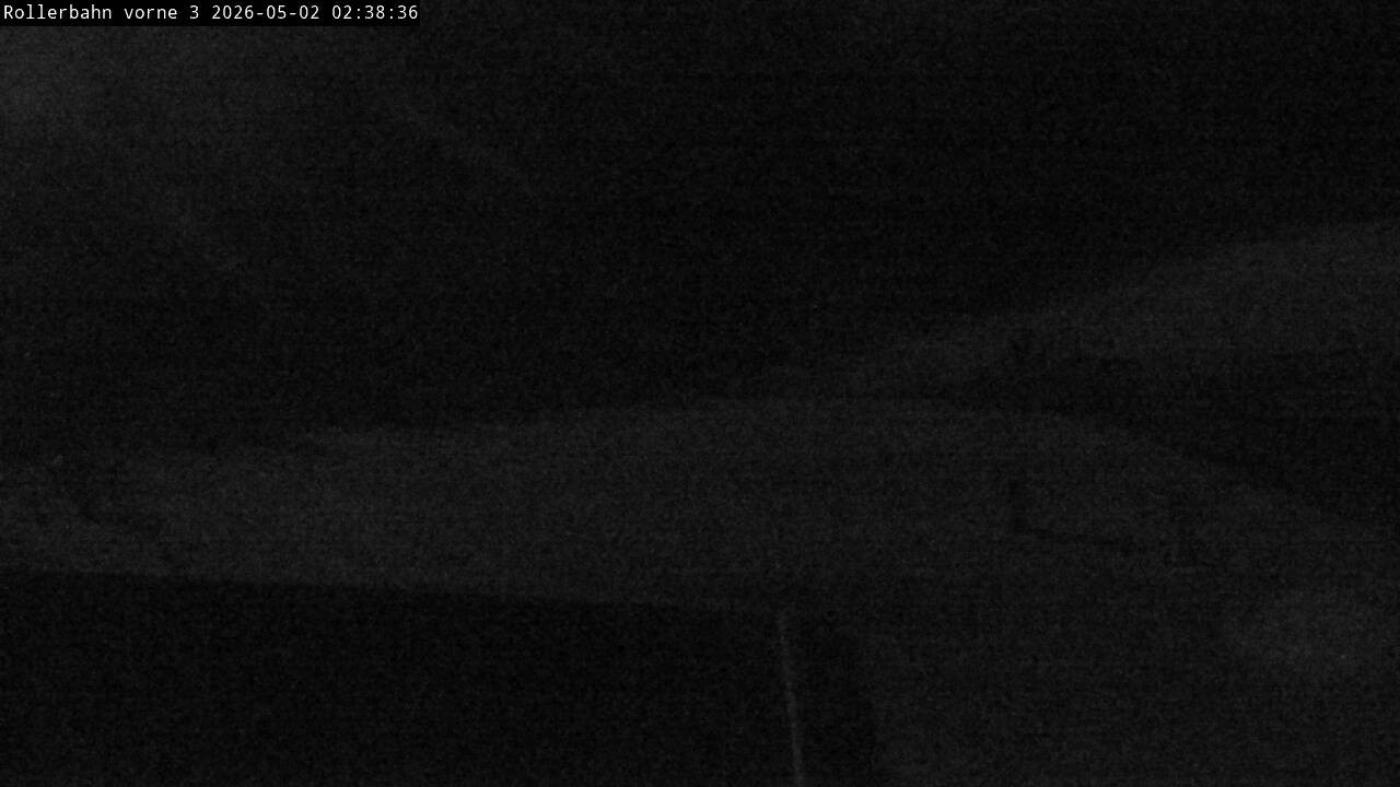 Archiv Foto Webcam Willingen - Blick Rollerbahn der Biathlon Arena
