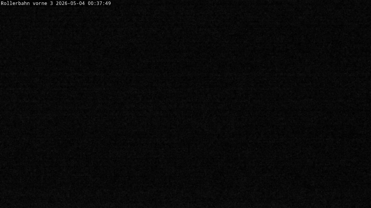 Archiv Foto Webcam Willingen - Blick Rollerbahn der Biathlon Arena