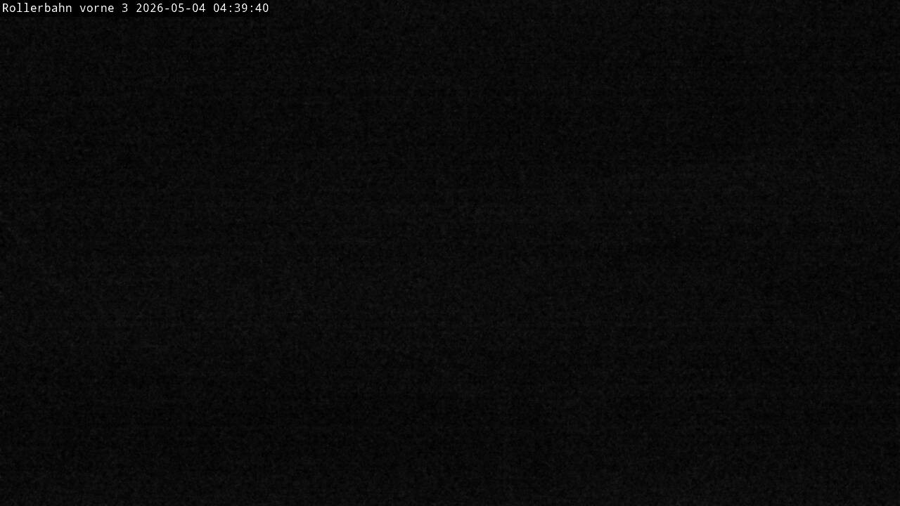 Archiv Foto Webcam Willingen - Blick Rollerbahn der Biathlon Arena