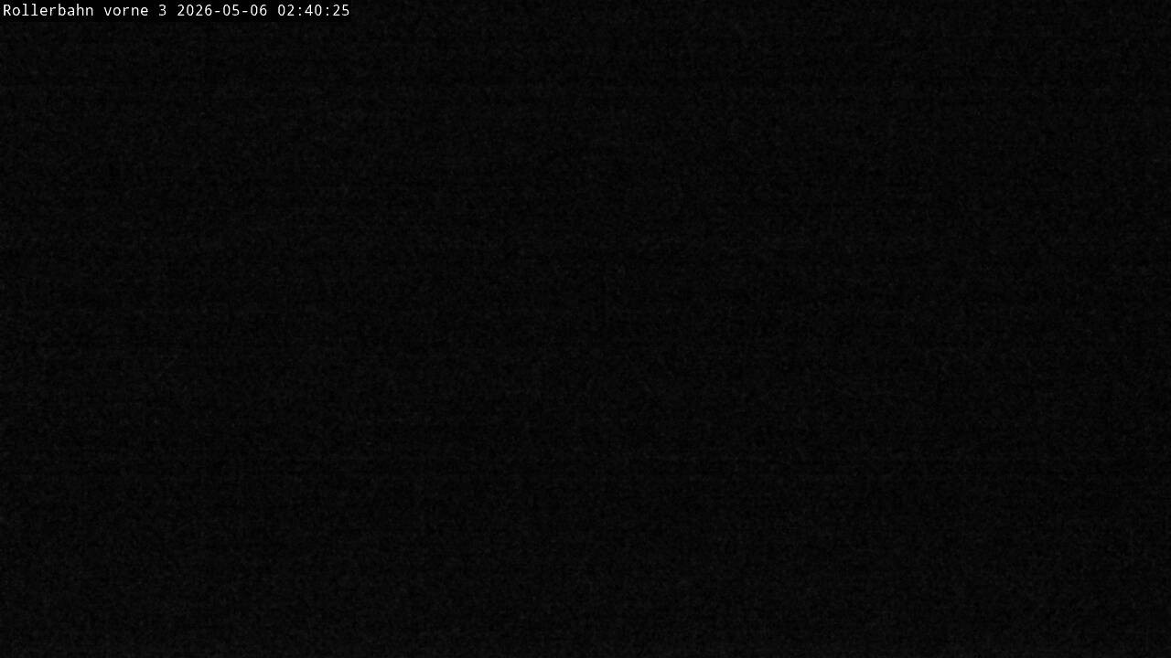 Archived image Webcam Willingen - View Roller Ski in Biathlon Arena