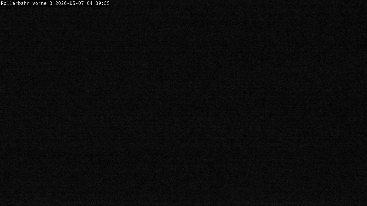 Archiv Foto Webcam Willingen - Blick Rollerbahn der Biathlon Arena