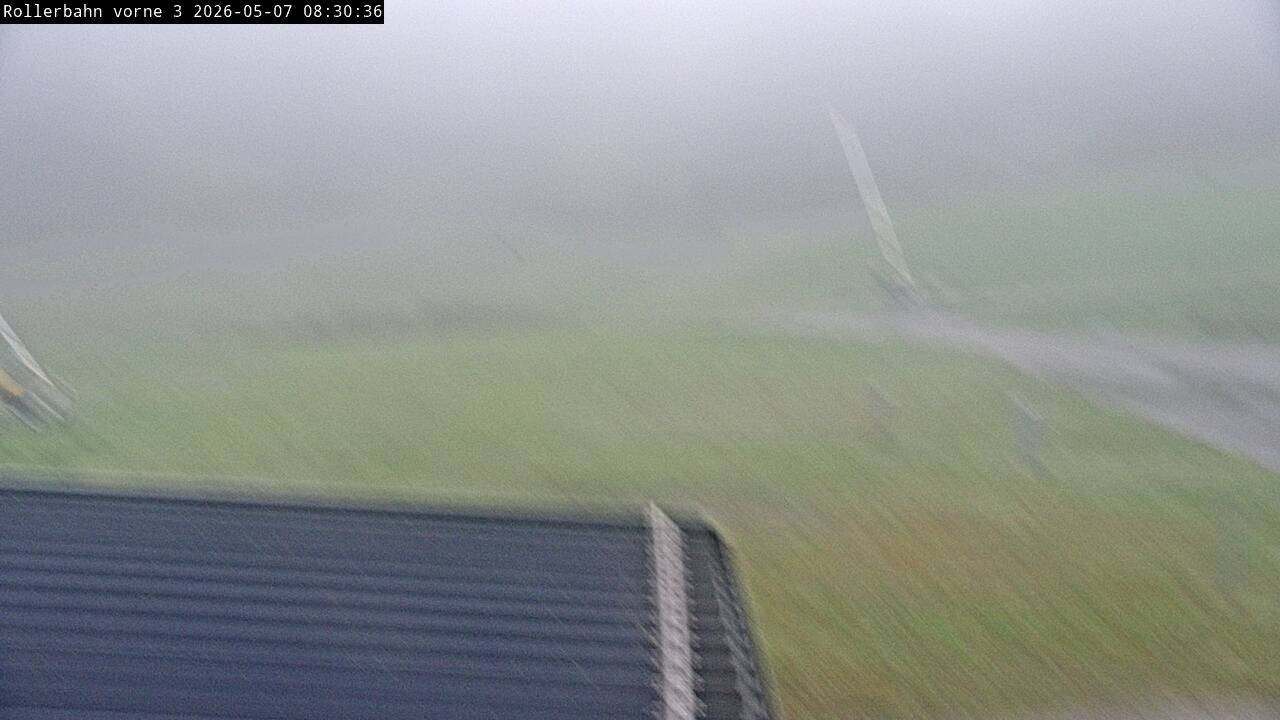 Archiv Foto Webcam Willingen - Blick Rollerbahn der Biathlon Arena