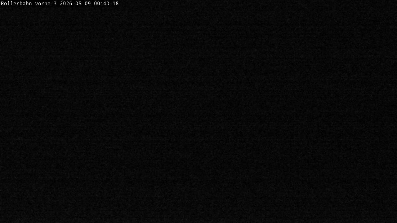 Archived image Webcam Willingen - View Roller Ski in Biathlon Arena