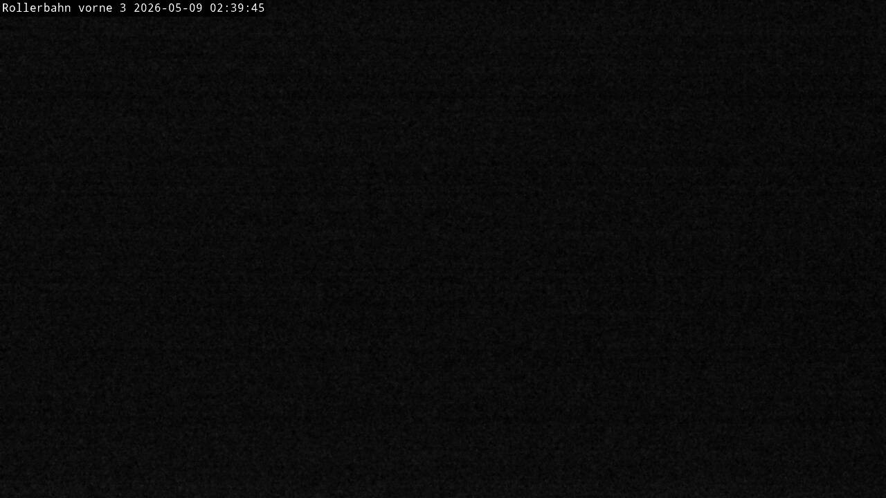 Archived image Webcam Willingen - View Roller Ski in Biathlon Arena