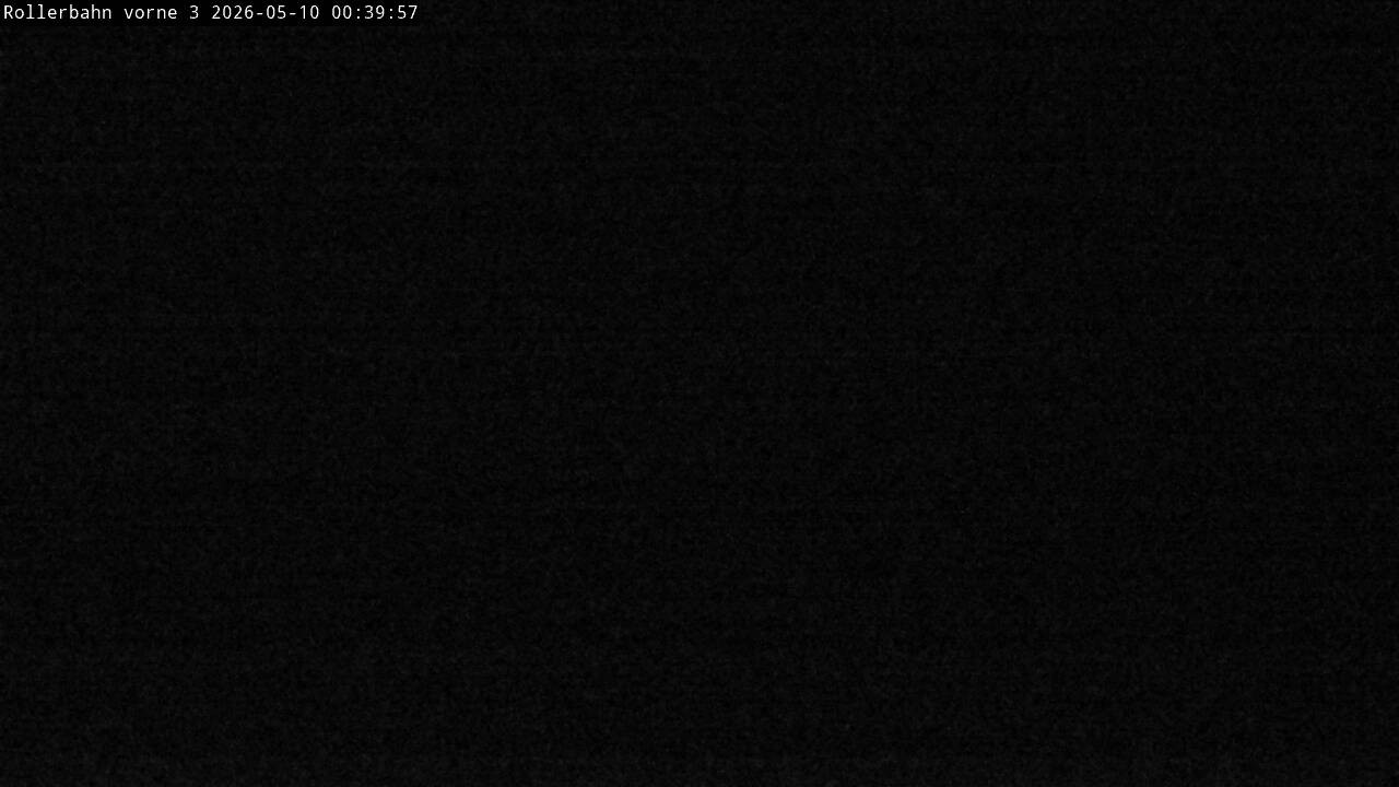 Archiv Foto Webcam Willingen - Blick Rollerbahn der Biathlon Arena