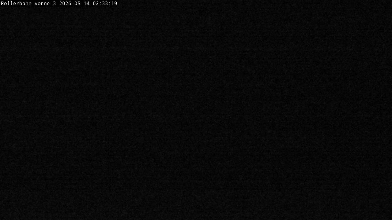 Archiv Foto Webcam Willingen - Blick Rollerbahn der Biathlon Arena