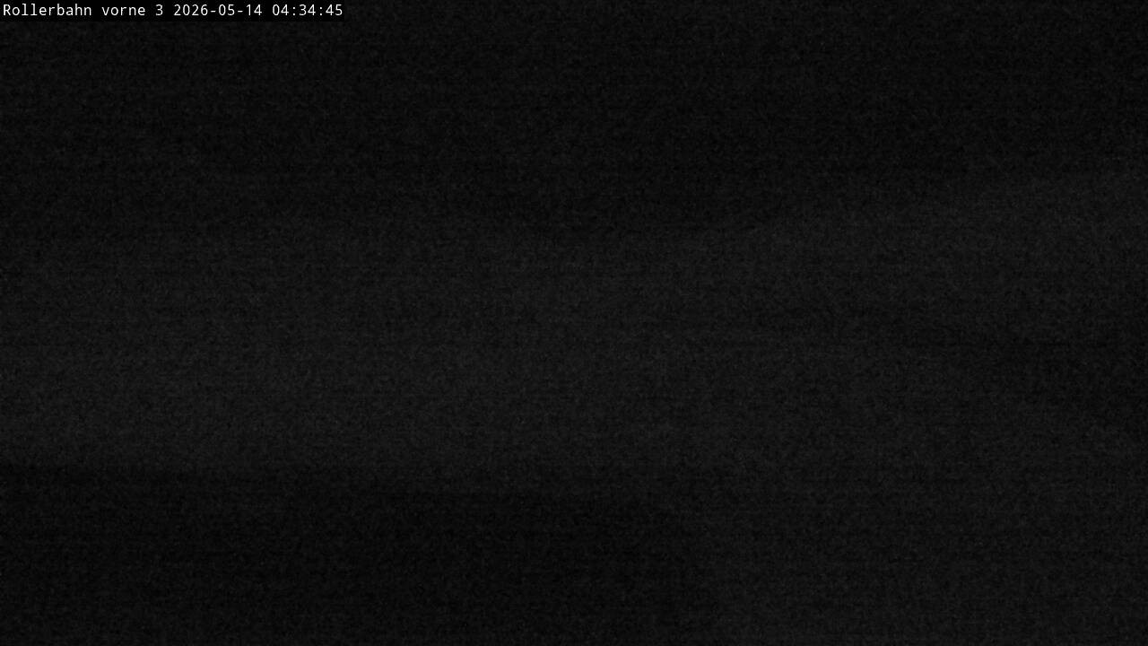 Archiv Foto Webcam Willingen - Blick Rollerbahn der Biathlon Arena