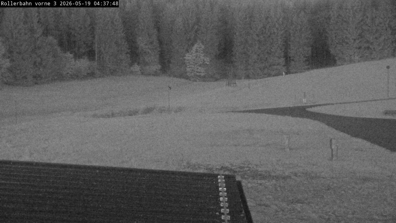 Archived image Webcam Willingen - View Roller Ski in Biathlon Arena