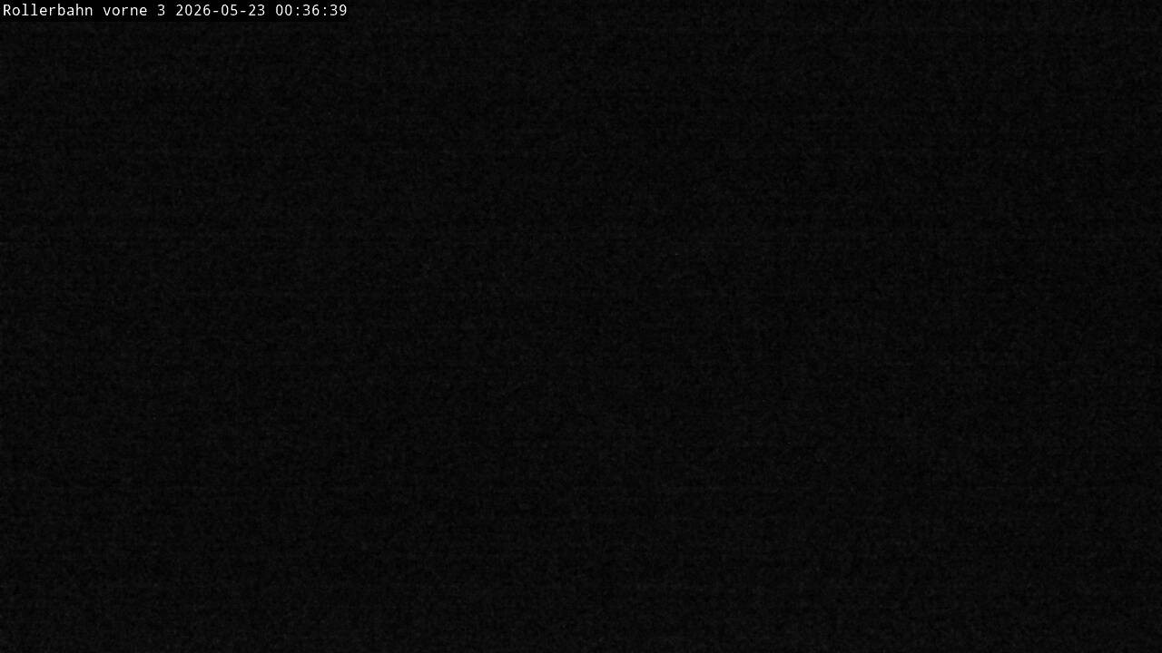 Archived image Webcam Willingen - View Roller Ski in Biathlon Arena