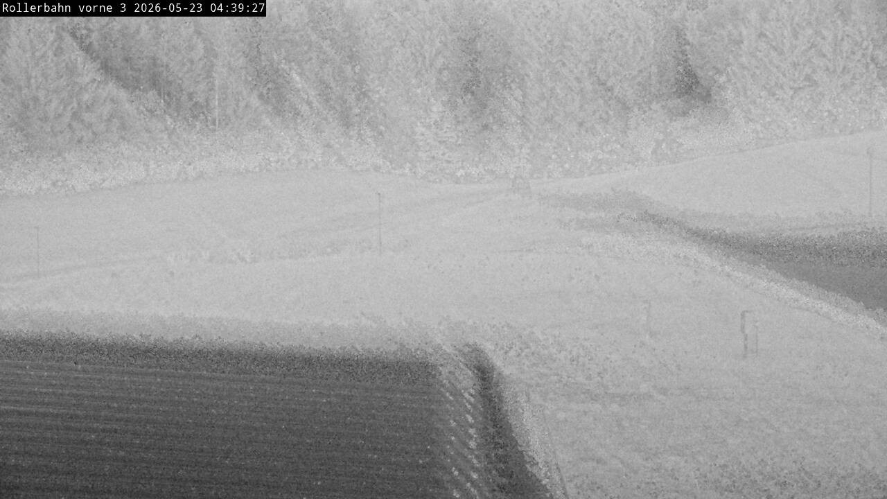 Archived image Webcam Willingen - View Roller Ski in Biathlon Arena
