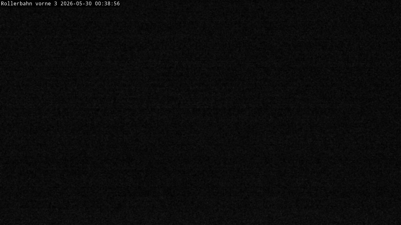 Archiv Foto Webcam Willingen - Blick Rollerbahn der Biathlon Arena