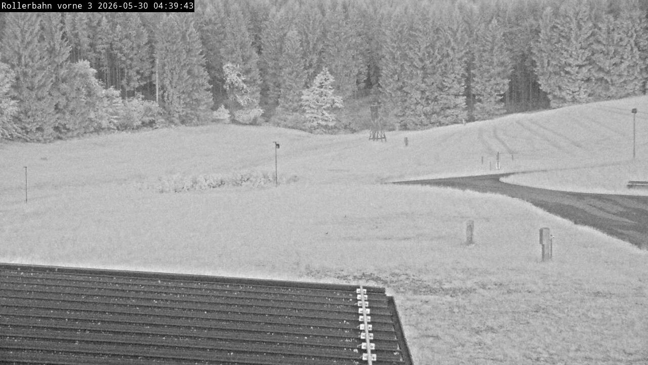 Archiv Foto Webcam Willingen - Blick Rollerbahn der Biathlon Arena
