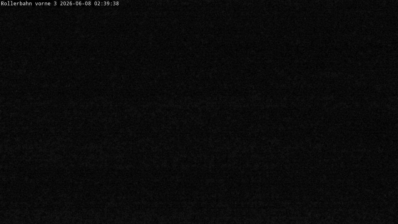 Archiv Foto Webcam Willingen - Blick Rollerbahn der Biathlon Arena