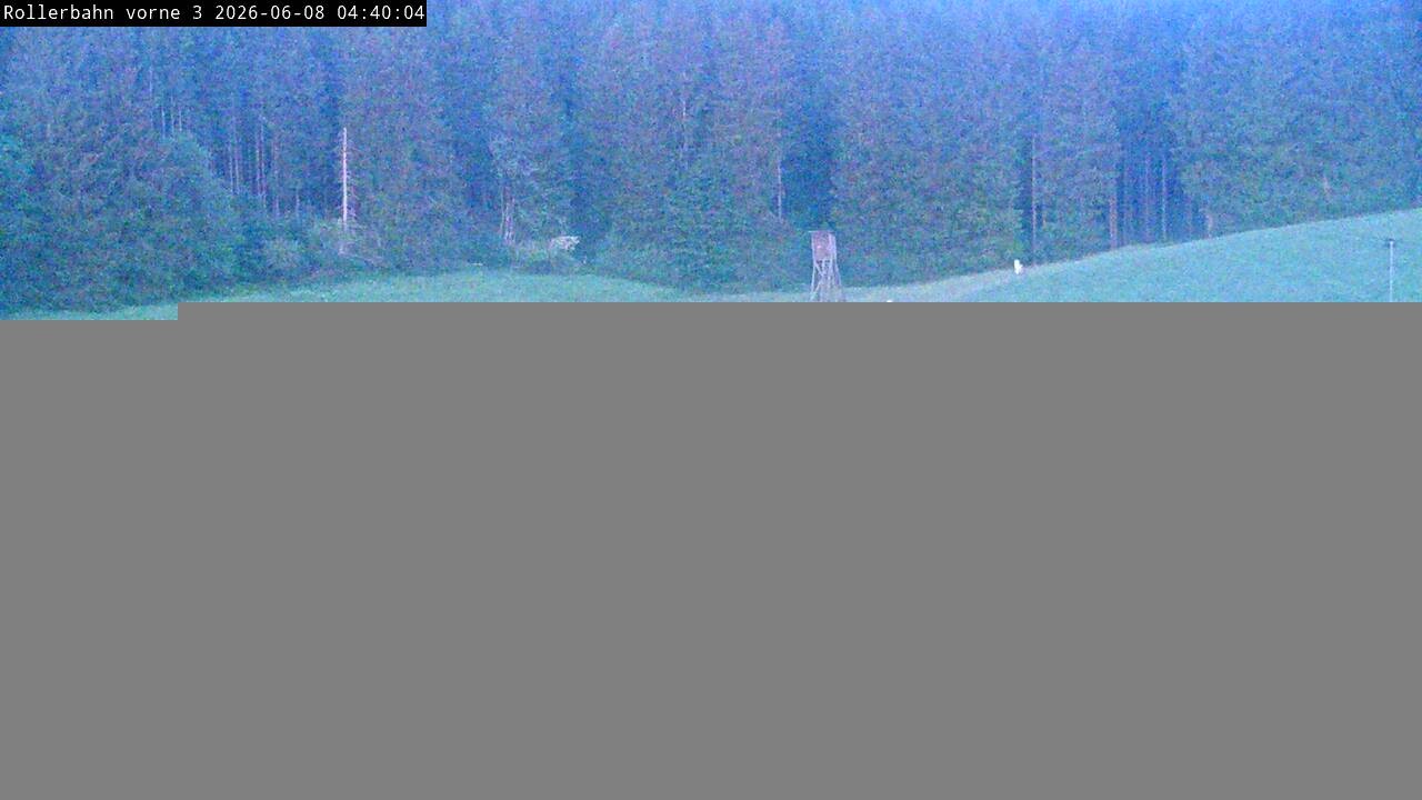 Archiv Foto Webcam Willingen - Blick Rollerbahn der Biathlon Arena