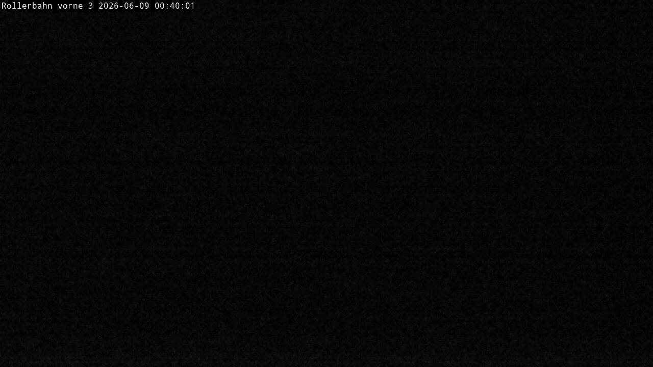 Archiv Foto Webcam Willingen - Blick Rollerbahn der Biathlon Arena