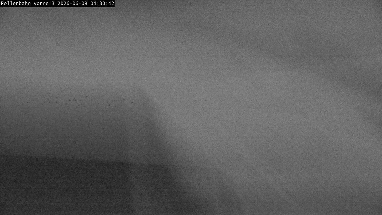 Archiv Foto Webcam Willingen - Blick Rollerbahn der Biathlon Arena
