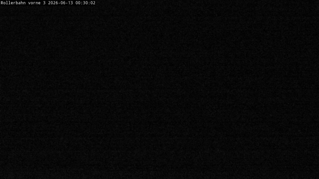 Archiv Foto Webcam Willingen - Blick Rollerbahn der Biathlon Arena