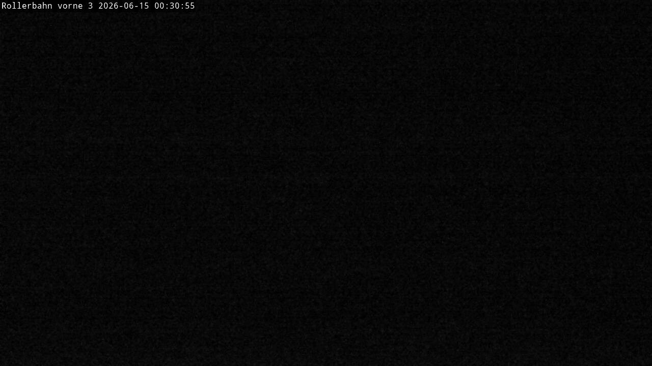 Archived image Webcam Willingen - View Roller Ski in Biathlon Arena