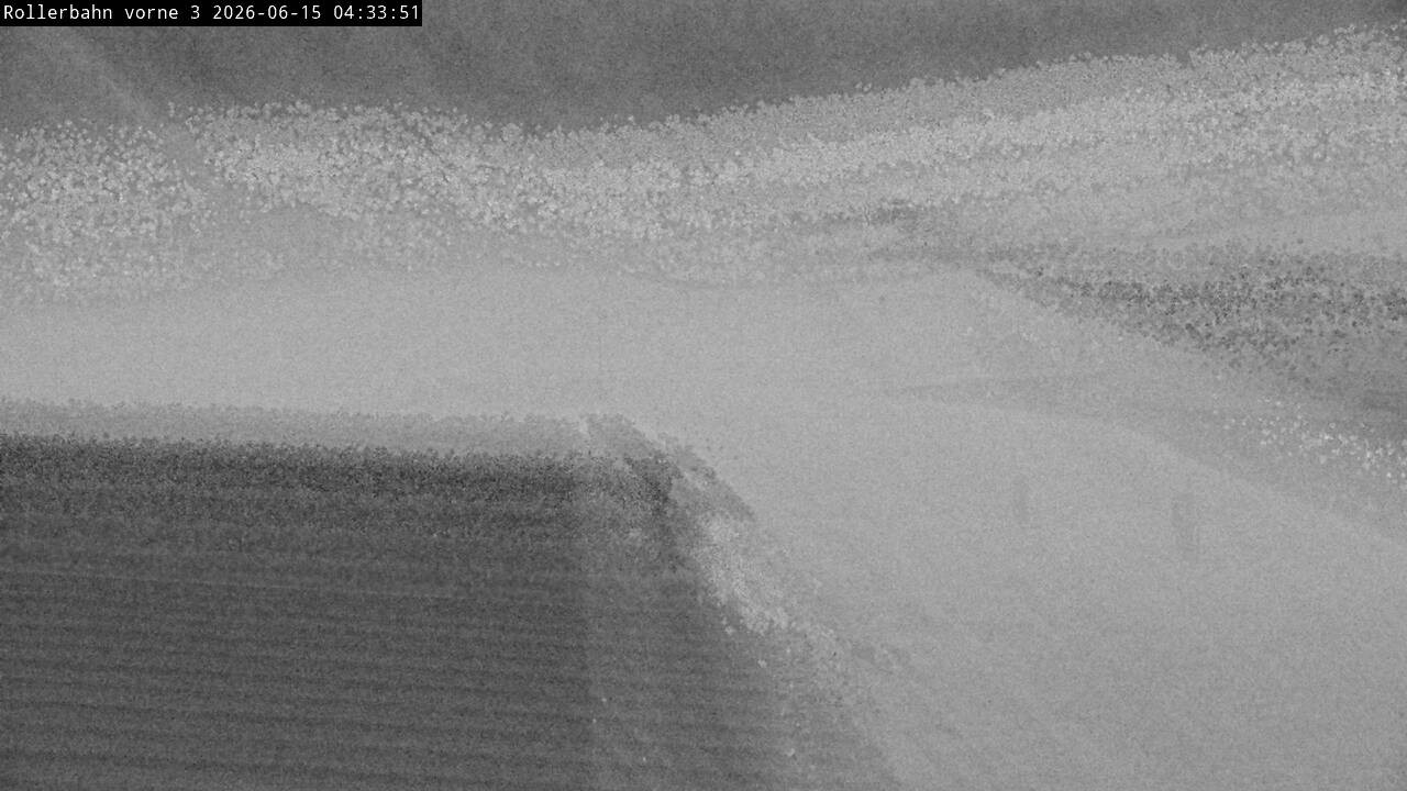 Archived image Webcam Willingen - View Roller Ski in Biathlon Arena