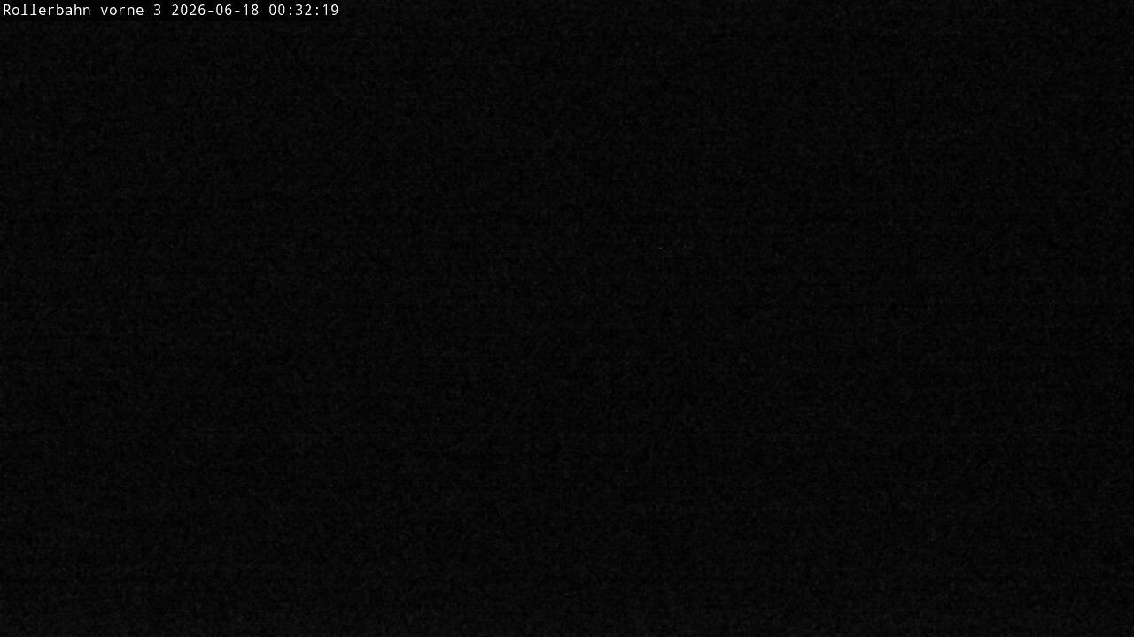Archiv Foto Webcam Willingen - Blick Rollerbahn der Biathlon Arena