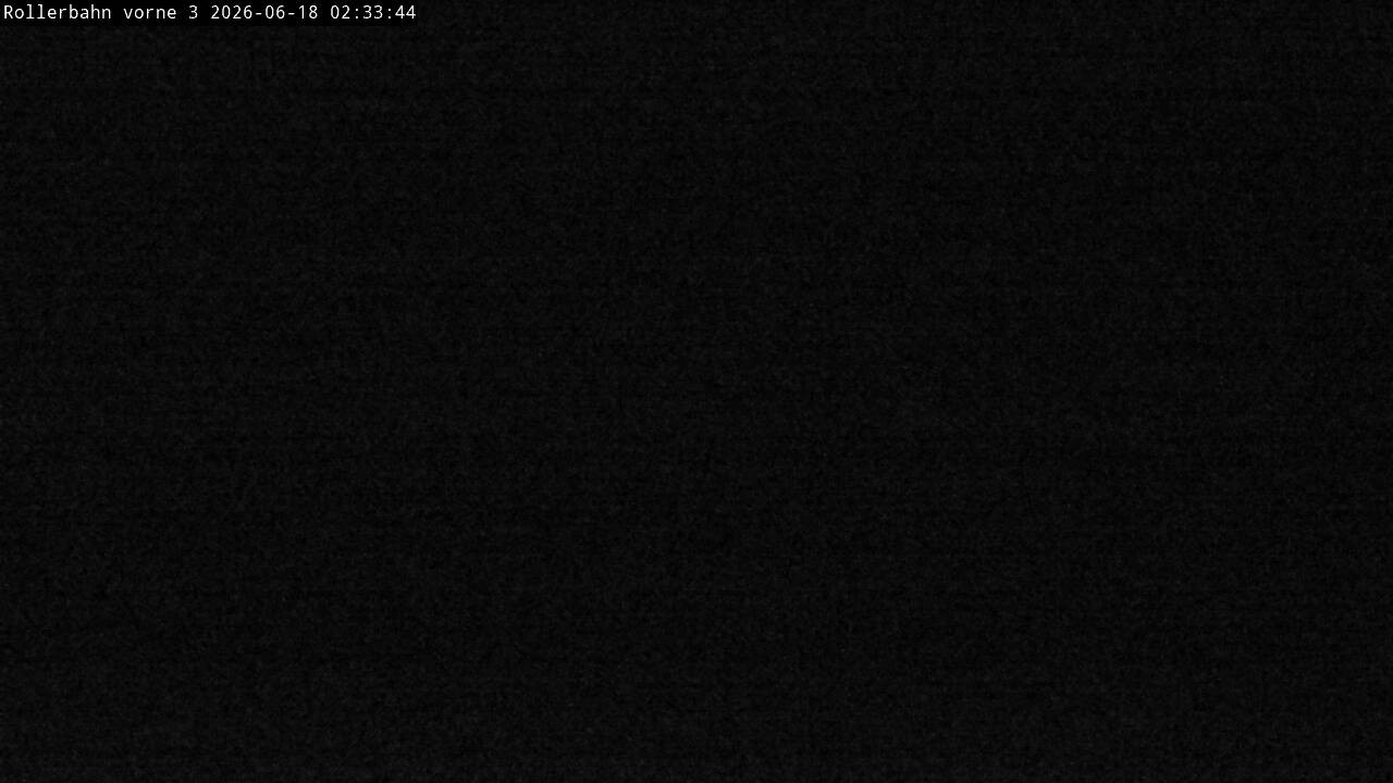 Archiv Foto Webcam Willingen - Blick Rollerbahn der Biathlon Arena