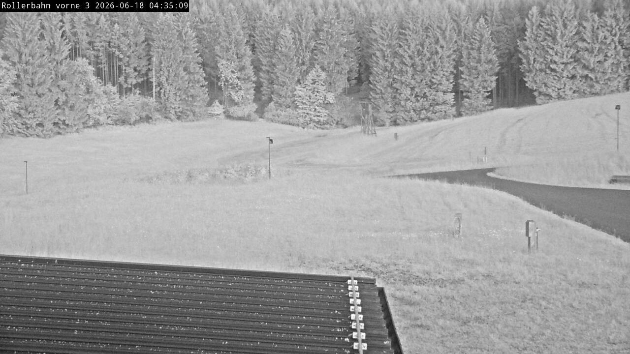 Archiv Foto Webcam Willingen - Blick Rollerbahn der Biathlon Arena