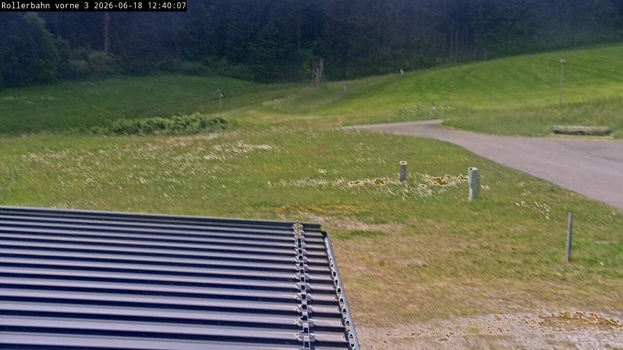 Archived image Webcam Willingen - View Roller Ski in Biathlon Arena