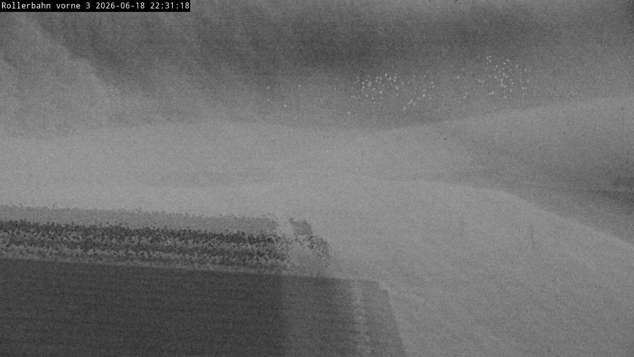 Archived image Webcam Willingen - View Roller Ski in Biathlon Arena