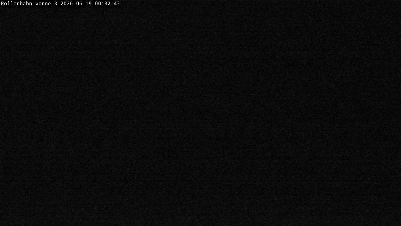 Archiv Foto Webcam Willingen - Blick Rollerbahn der Biathlon Arena