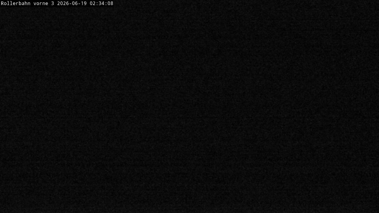 Archiv Foto Webcam Willingen - Blick Rollerbahn der Biathlon Arena