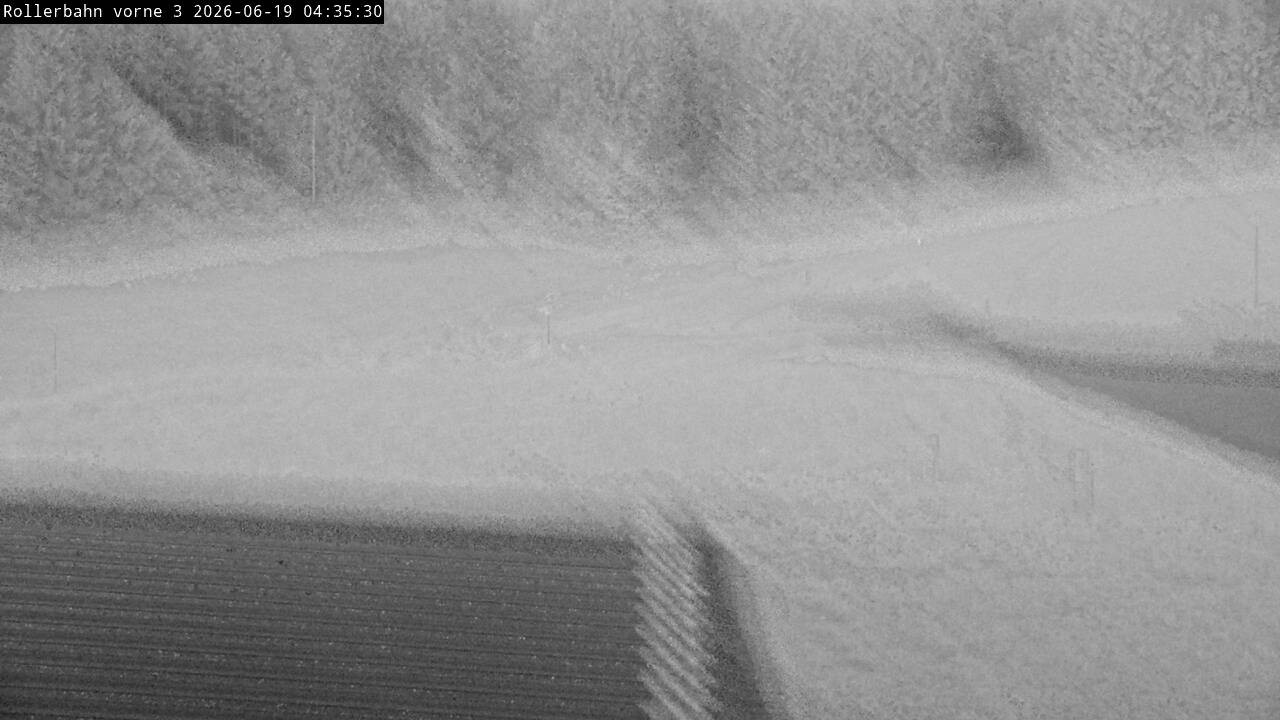Archiv Foto Webcam Willingen - Blick Rollerbahn der Biathlon Arena