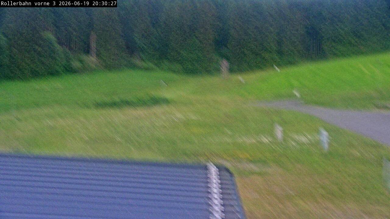 Archived image Webcam Willingen - View Roller Ski in Biathlon Arena